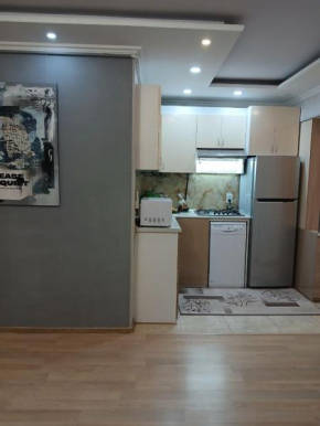 Apartment ANI